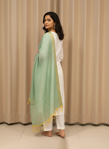 Seafoam Green & Gold Tissue Banarasi Silk Dupatta with Tassels