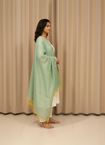 Seafoam Green & Gold Tissue Banarasi Silk Dupatta with Tassels
